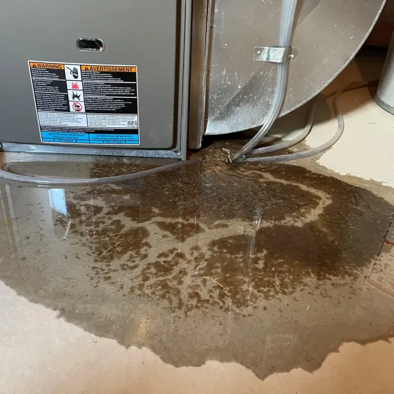 Appliance Leak Cleanup in Conover, NC